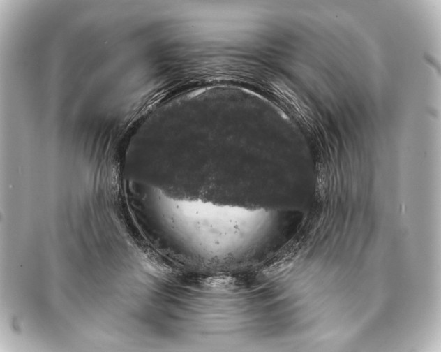 X0000095510410200712281442