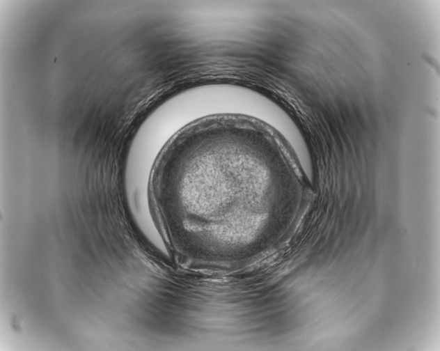 X0000095510411200712281442