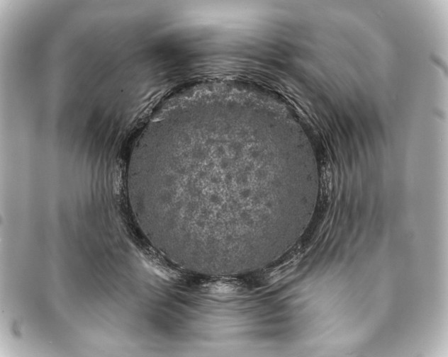 X0000095510412200712281442