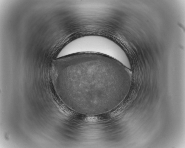 X0000095510413200712281442
