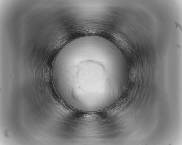 X0000095510414200712281442