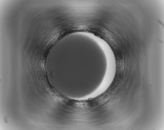 X0000095510415200712281442