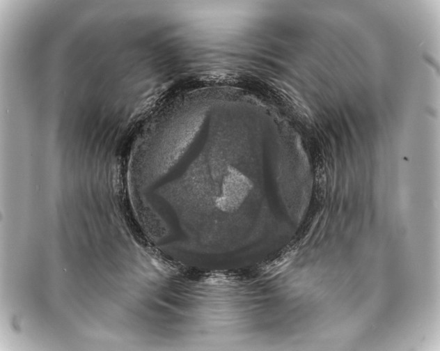 X0000095510416200712281442