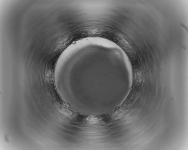 X0000095510419200712281442