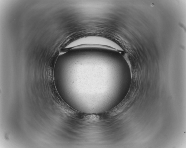 X0000095510421200712281442