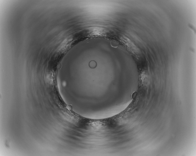 X0000095510423200712281442