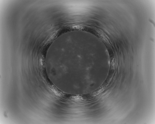 X0000095510424200712281442