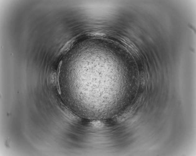 X0000095510425200712281442