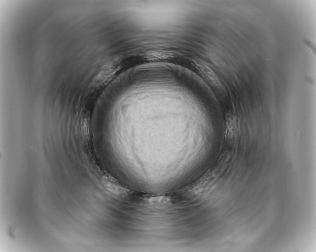 X0000095510426200712281442