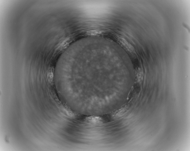 X0000095510427200712281442
