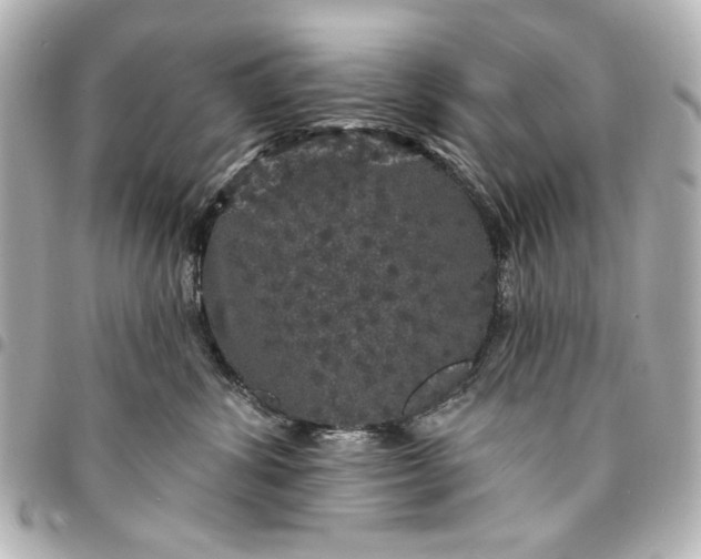 X0000095510428200712281442