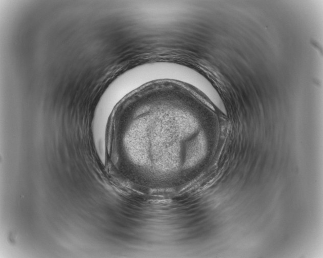 X0000095510429200712281442