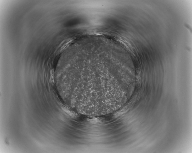 X0000095510430200712281442