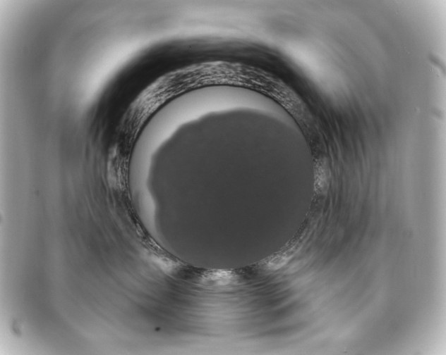 X0000095510431200712281442