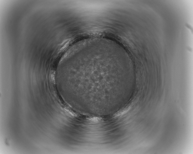 X0000095510432200712281442