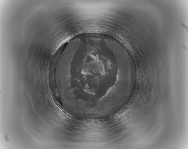 X0000095510434200712281441