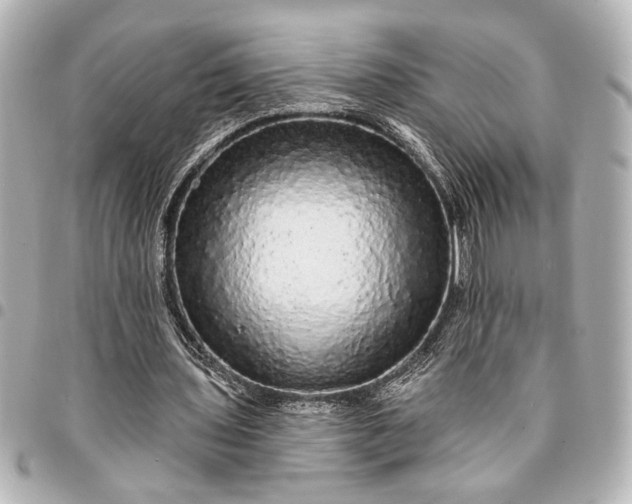X0000095510435200712281441
