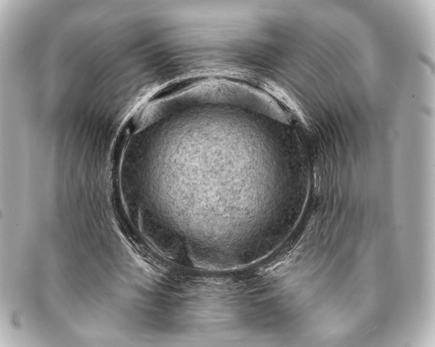 X0000095510436200712281441
