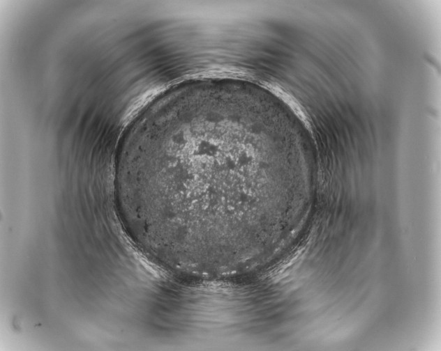 X0000095510437200712281441