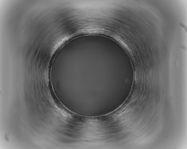 X0000095510438200712281441