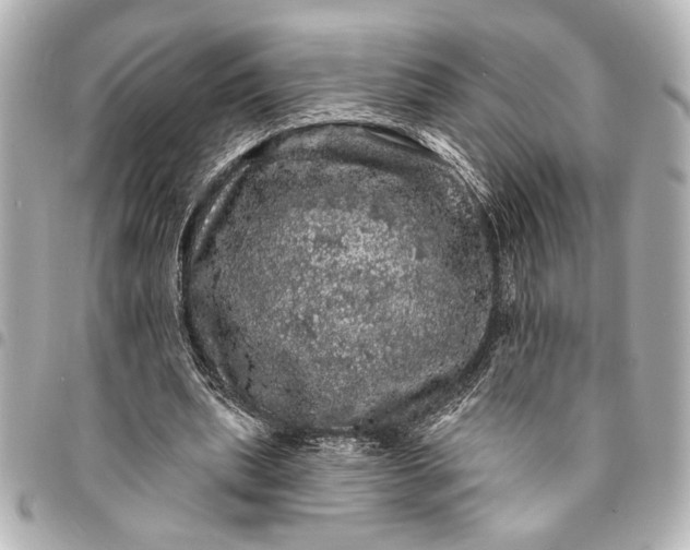 X0000095510439200712281441