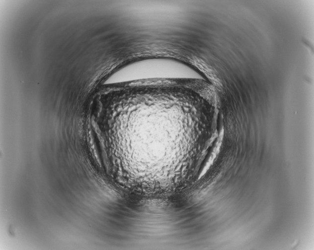 X0000095510449200712281441