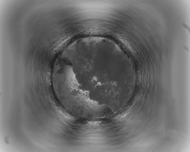 X0000095510450200712281441