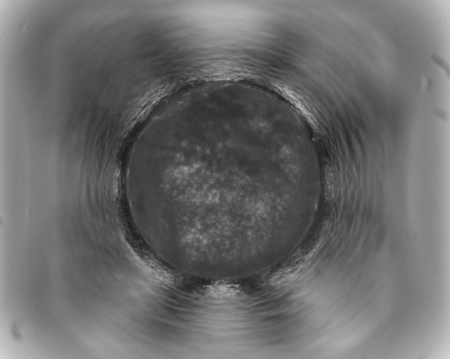 X0000095510451200712281441