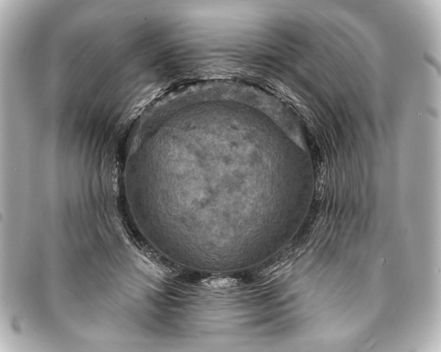 X0000095510452200712281441