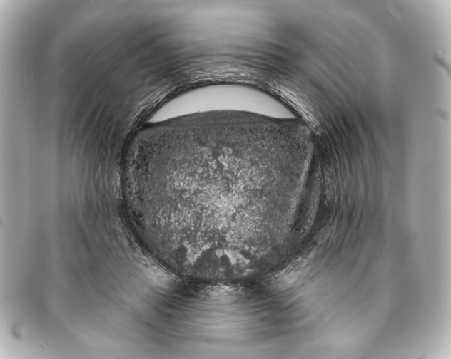 X0000095510453200712281441