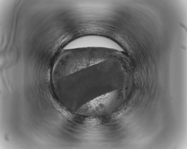 X0000095510454200712281442
