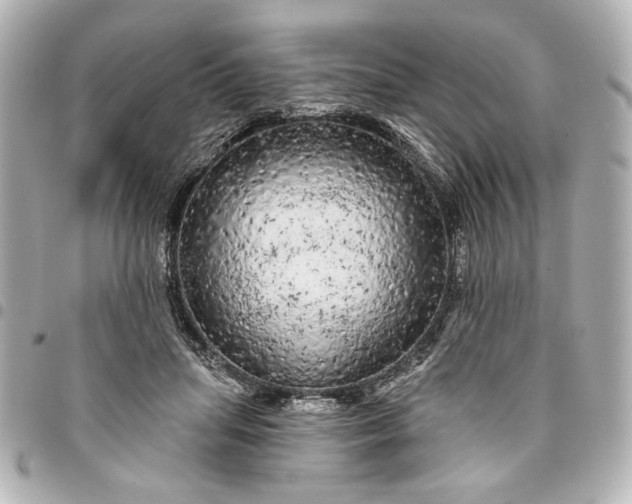 X0000095510455200712281442