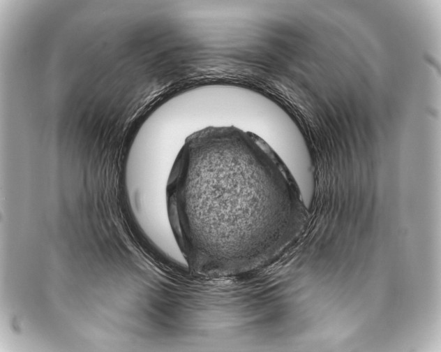 X0000095510456200712281442