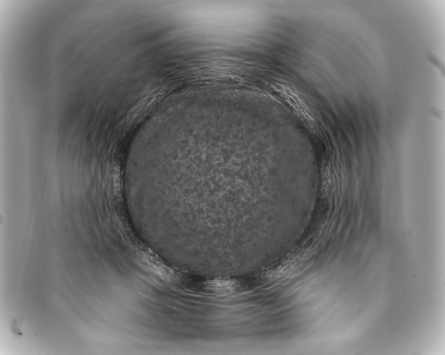 X0000095510457200712281442