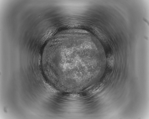 X0000095510458200712281442