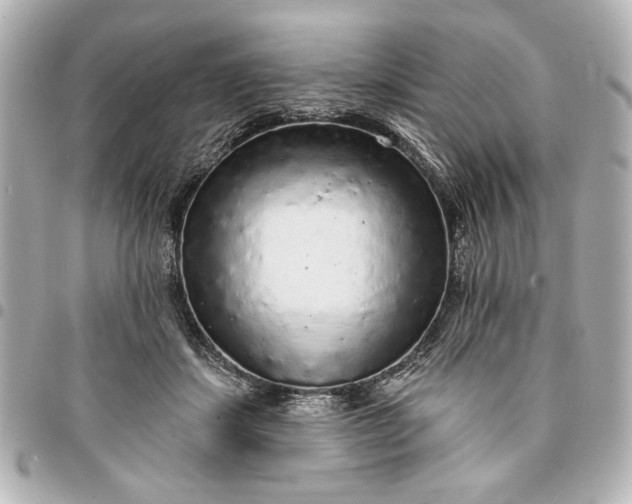 X0000095510459200712281442