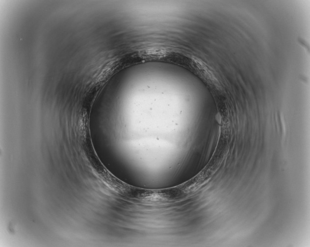 X0000095510460200712281442