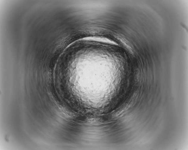 X0000095510461200712281442