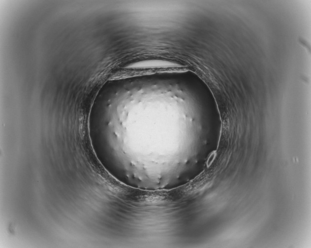 X0000095510462200712281442