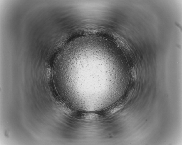 X0000095510463200712281442