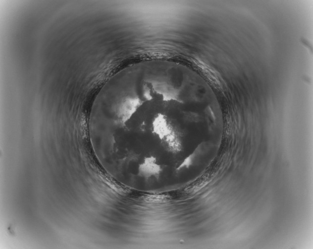 X0000095510465200712281442