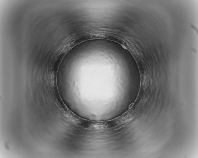 X0000095510466200712281442