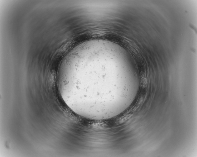 X0000095510468200712281442