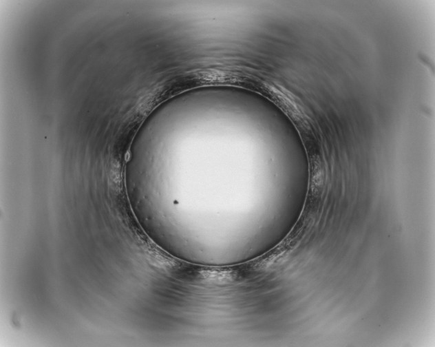 X0000095510469200712281442