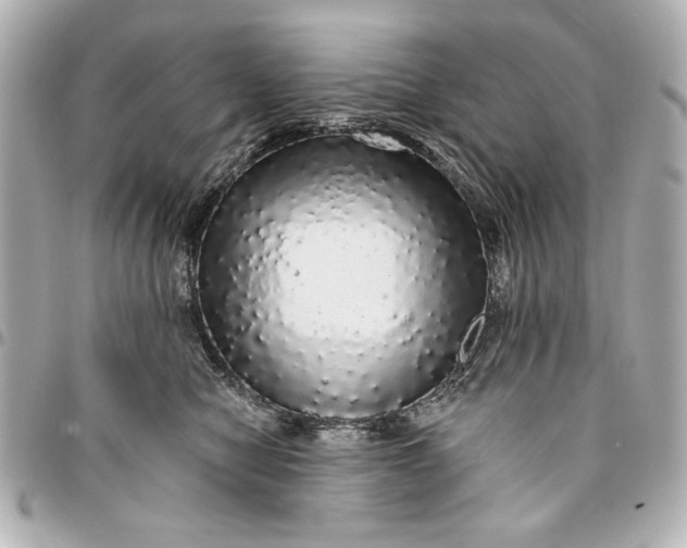 X0000095510470200712281442