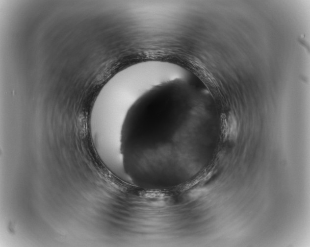 X0000095510471200712281442
