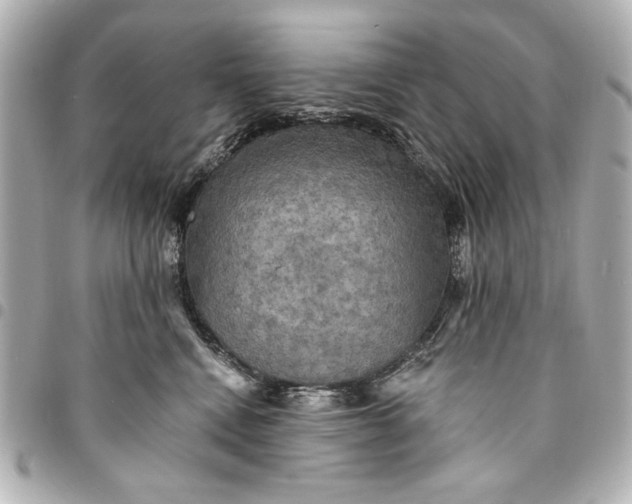 X0000095510472200712281442