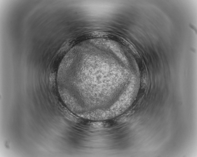 X0000095510473200712281442