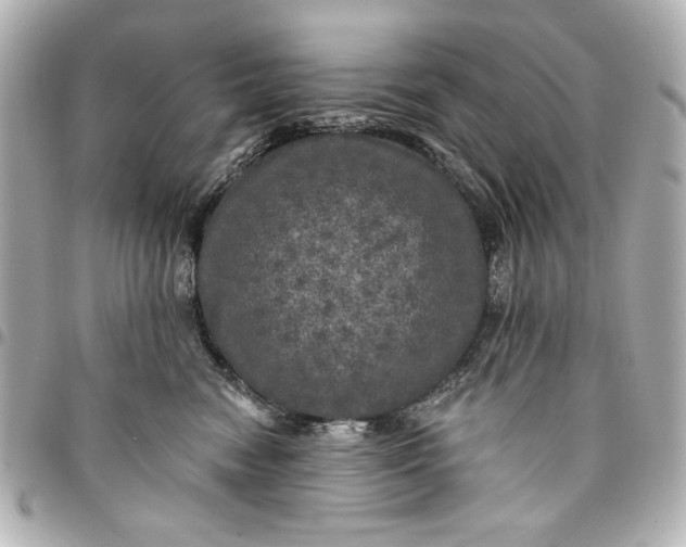 X0000095510474200712281442