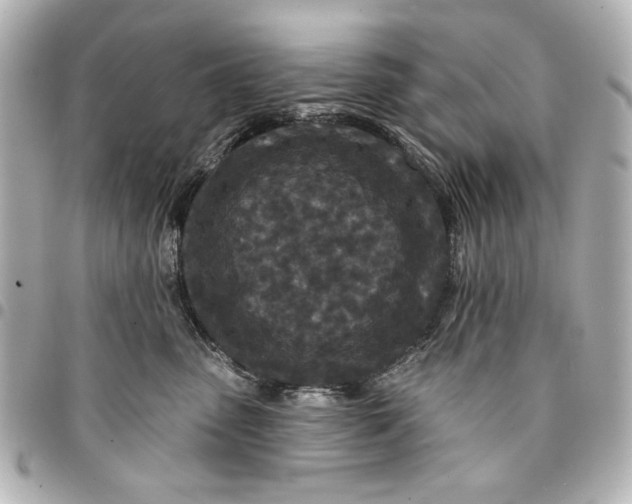 X0000095510475200712281442